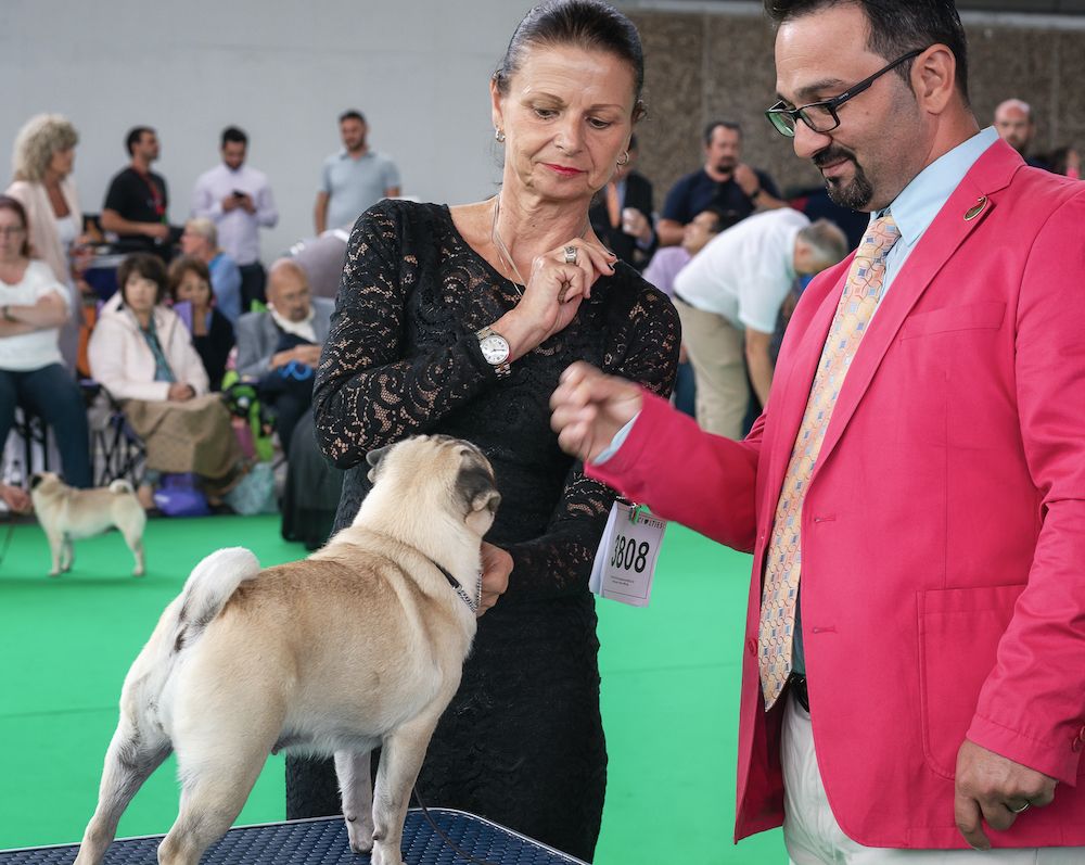 Different Perspectives